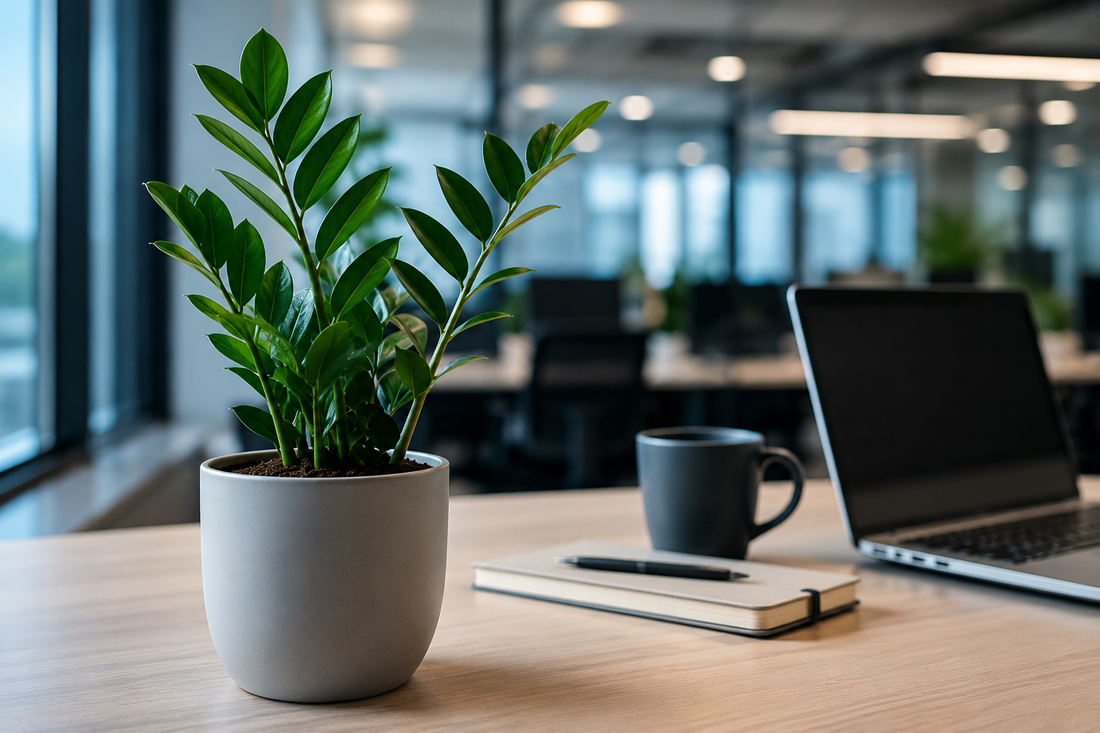 10 Desk Plants That Survive Office Air Conditioning