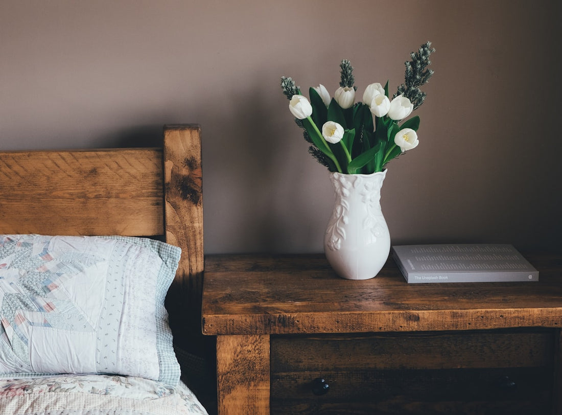 Best Indoor Plants for Apartments With Low Light