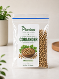 Coriander Seeds — Organic, Beginner-Friendly