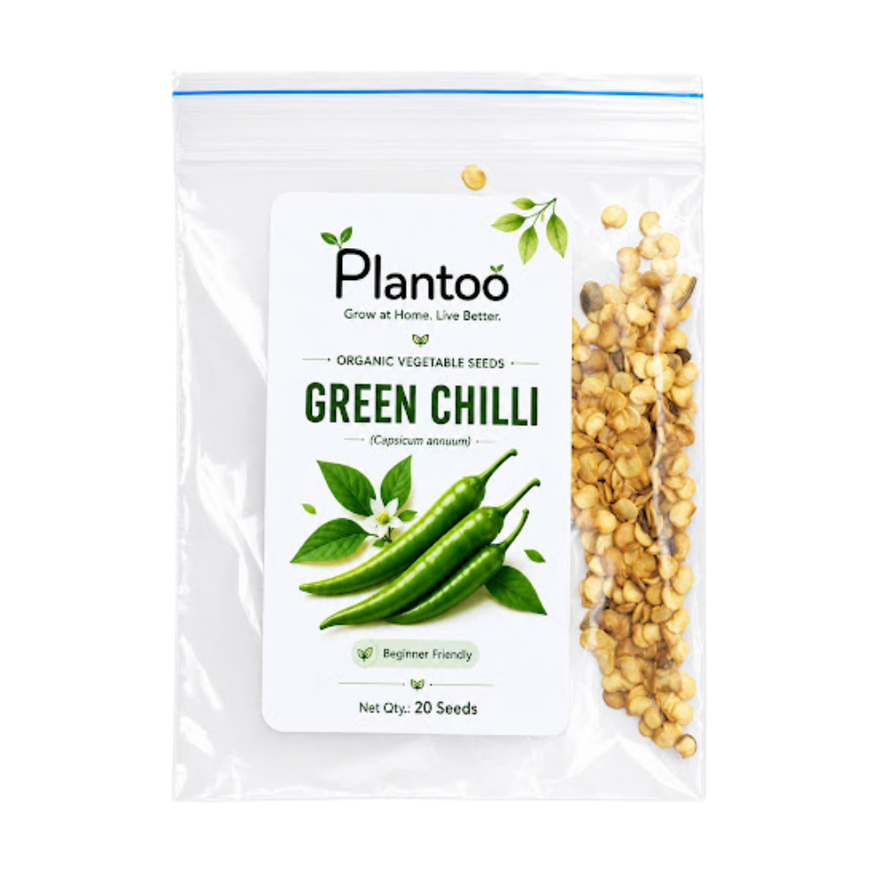 Plantoo Grow Kit - Complete Gardening Kit for Beginners
