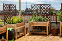 Terrace farming
